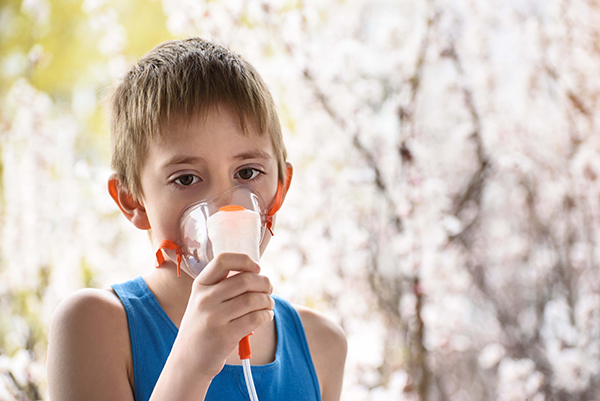 各類標準氣體製造商